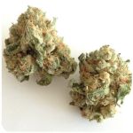 Шишки "White Widow"  (Белая вдова)  Гидропоника -  Бошка VHQ в Горячем Ключе