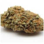 Шишки AK47 (Гидропоника, Бошка) VHQ в Горячем Ключе Шишки AK47 (Гидропоника, Бошка) VHQ в Горячем Ключе